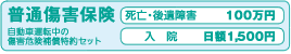 普通傷害保険(自動車運転中)+お見舞い補償(災害と盗難に関するお見舞い)